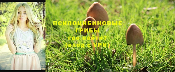 MDMA Абдулино