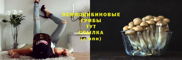 ГАЛЛЮЦИНОГЕННЫЕ ГРИБЫ Абинск