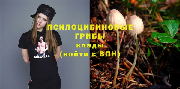 ГАЛЛЮЦИНОГЕННЫЕ ГРИБЫ Абинск